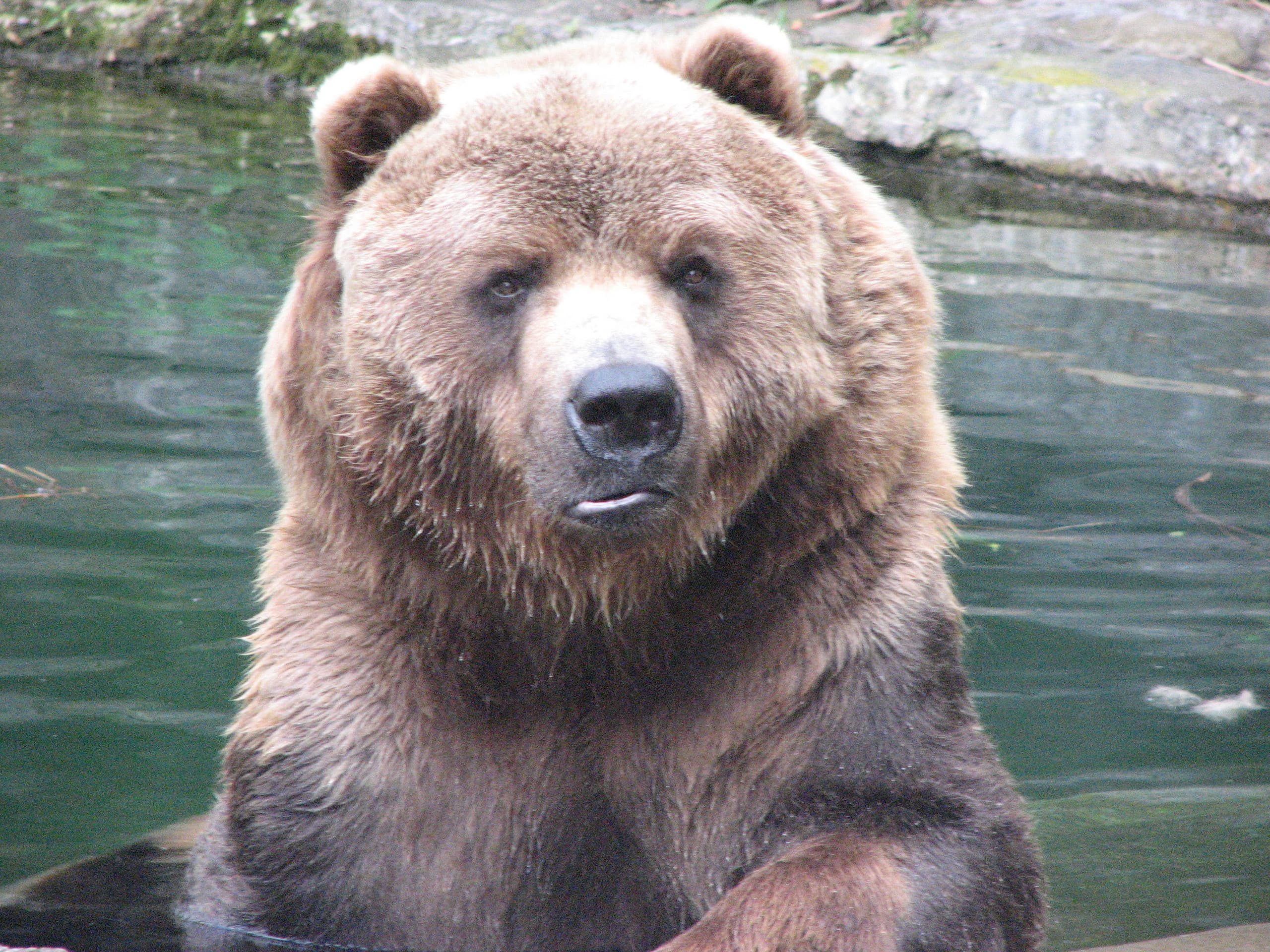 Eksempel på gratulasjonskort