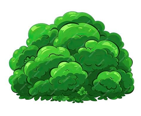 3D-bordkort — busk (hovedbilde)